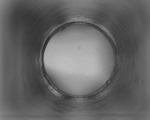 X0000073460791200608181304