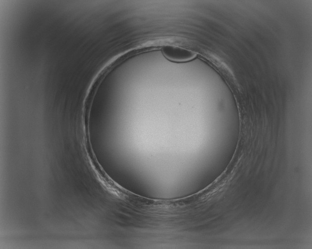 X0000073460792200608181304