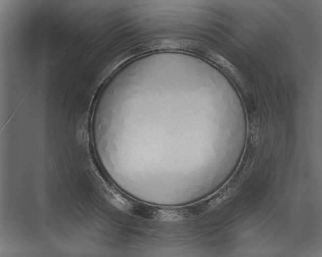 X0000073460794200608181304