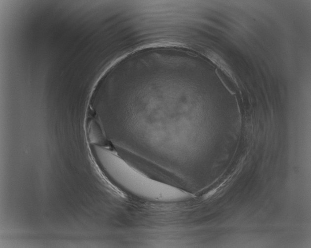 X0000073460797200608181304