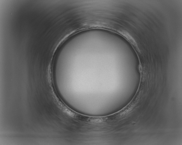 X0000073460798200608181304