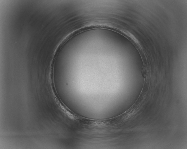 X0000073460799200608181304