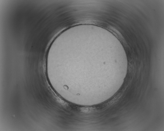 X0000073460804200608181304