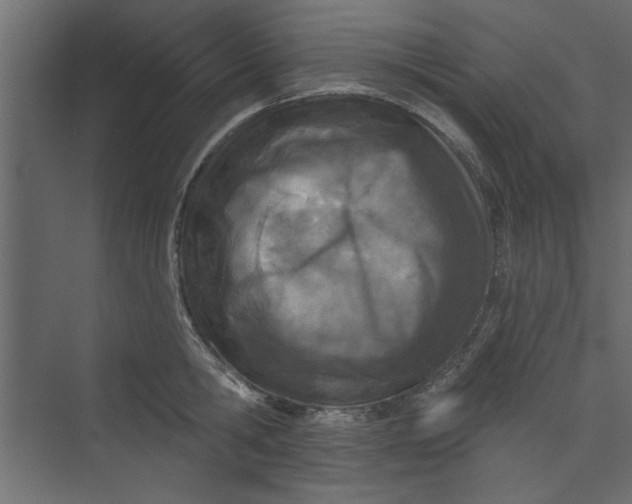 X0000073460806200608181304