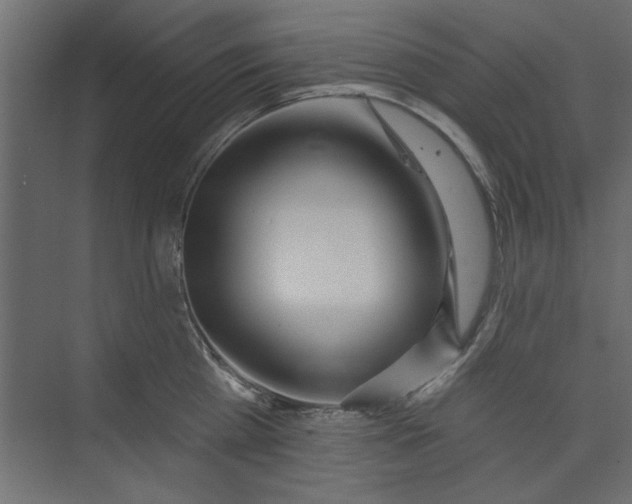 X0000073460809200608181303