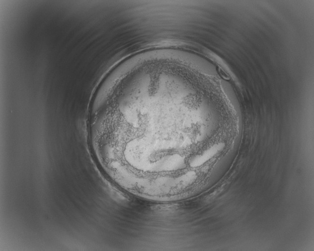 X0000073460810200608181303