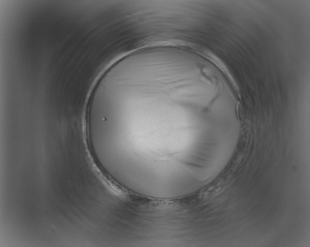 X0000073460811200608181303