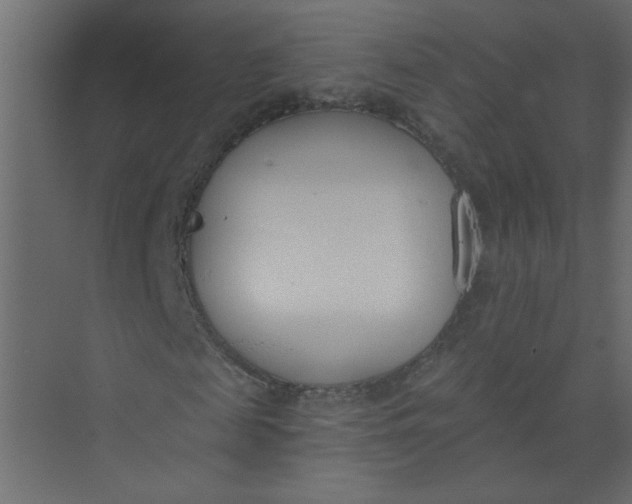 X0000073460817200608181303