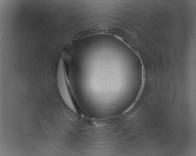 X0000073460818200608181303