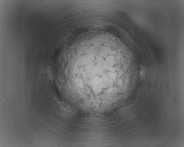 X0000073460819200608181303