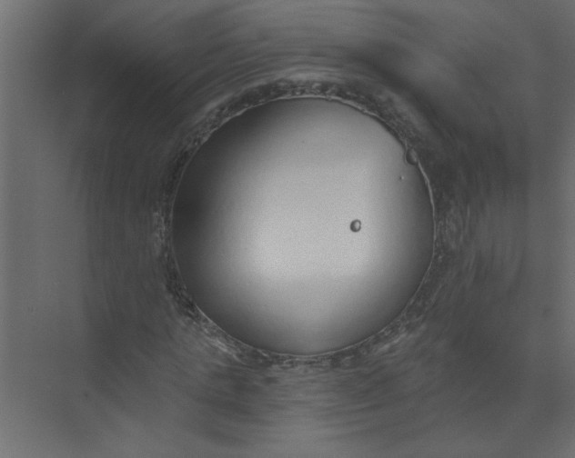 X0000073460821200608181303