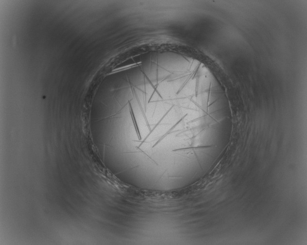 X0000073460823200608181303