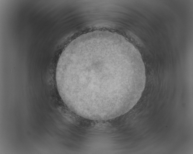 X0000073460824200608181303