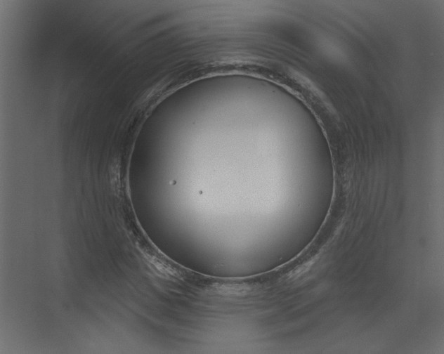 X0000073460825200608181303