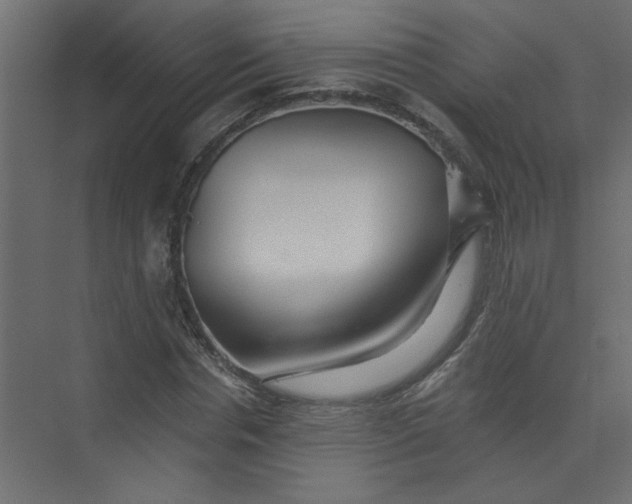 X0000073460826200608181303