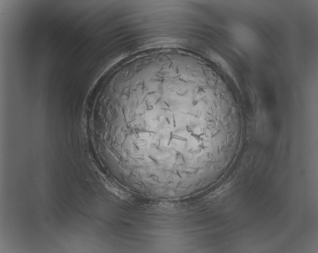 X0000073460827200608181303