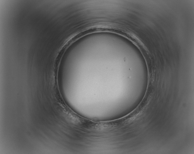 X0000073460829200608181303