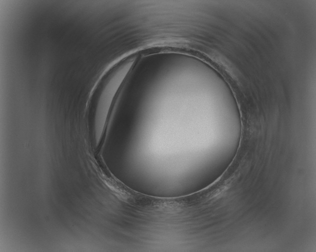 X0000073460830200608181303