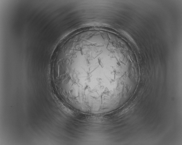 X0000073460831200608181303