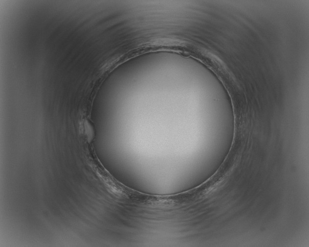 X0000073460833200608181303