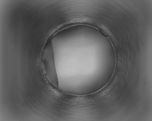 X0000073460834200608181303