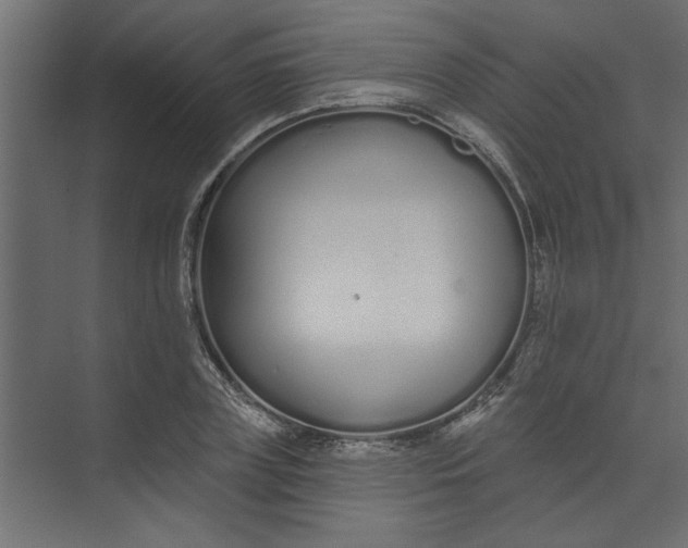 X0000073460835200608181303