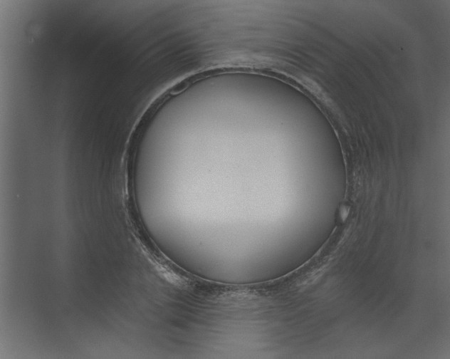 X0000073460838200608181303