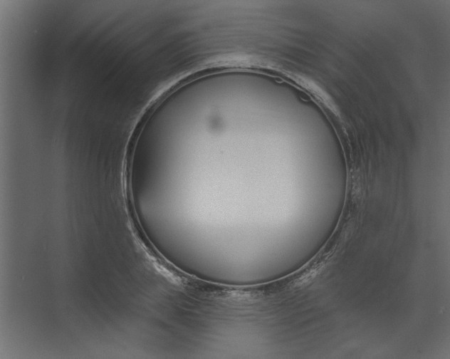 X0000073460839200608181303