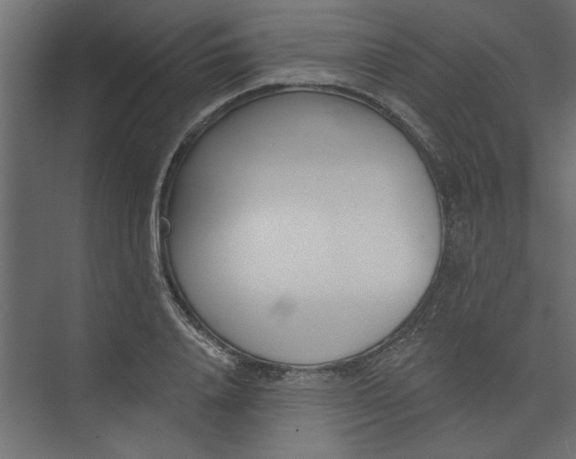 X0000073460840200608181303