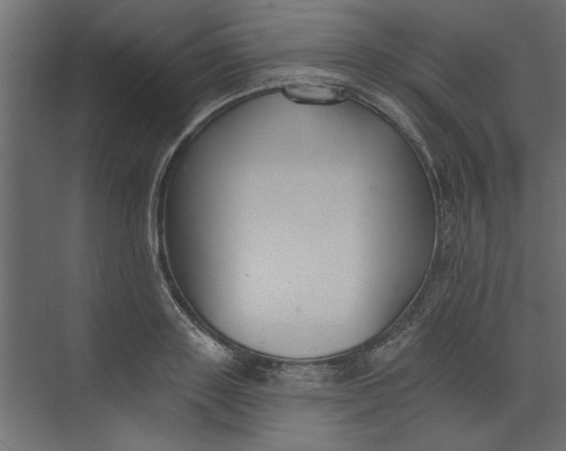 X0000073460843200608181303