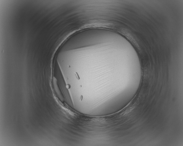 X0000073460844200608181303