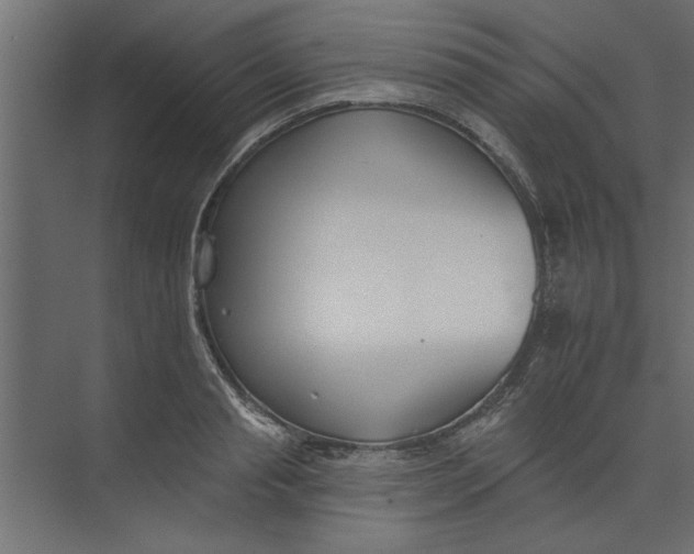 X0000073460845200608181303