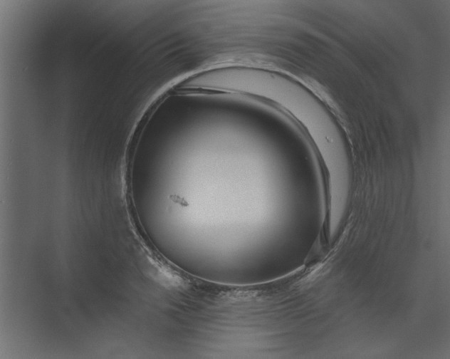 X0000073460846200608181303