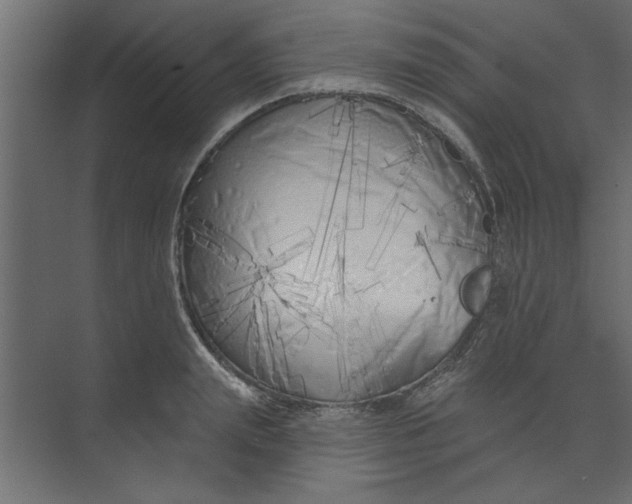 X0000073460847200608181303