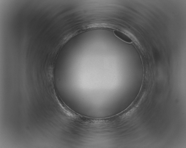 X0000073460849200608181303