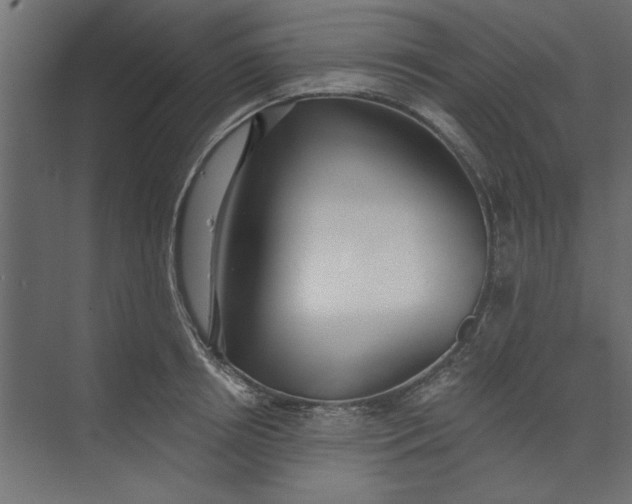 X0000073460850200608181303