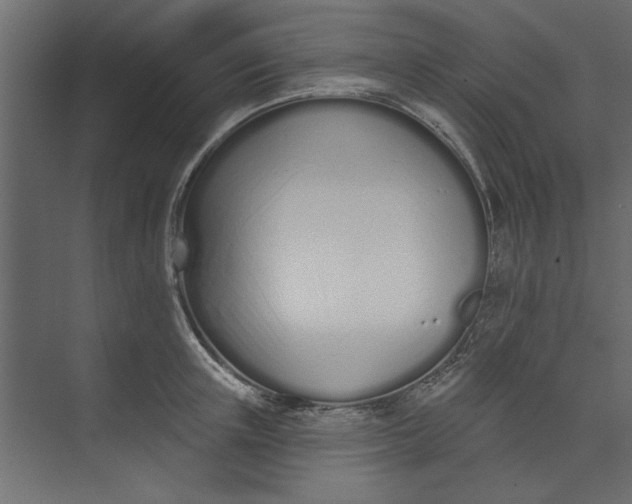 X0000073460851200608181303