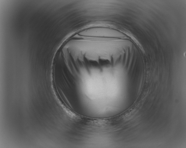 X0000073460853200608181303