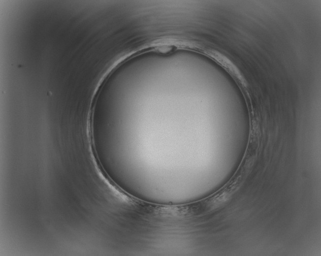 X0000073460855200608181303