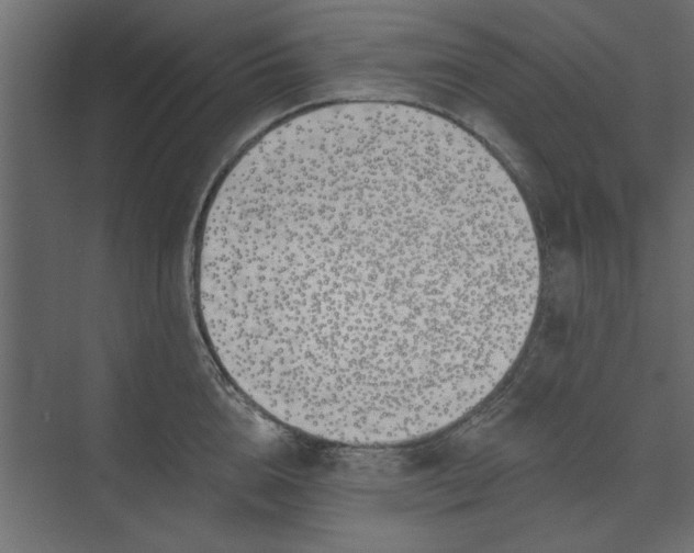 X0000073460856200608181303