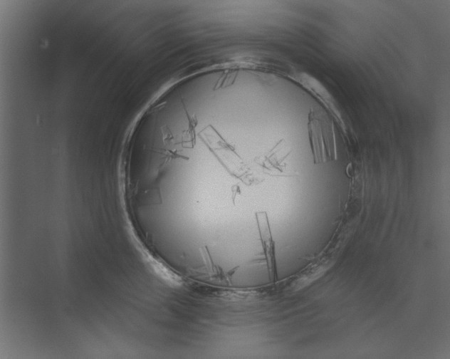 X0000073460859200608181303