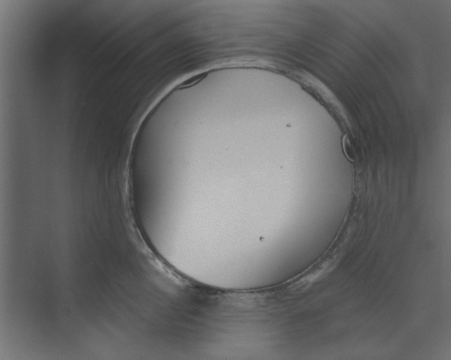 X0000073460860200608181303