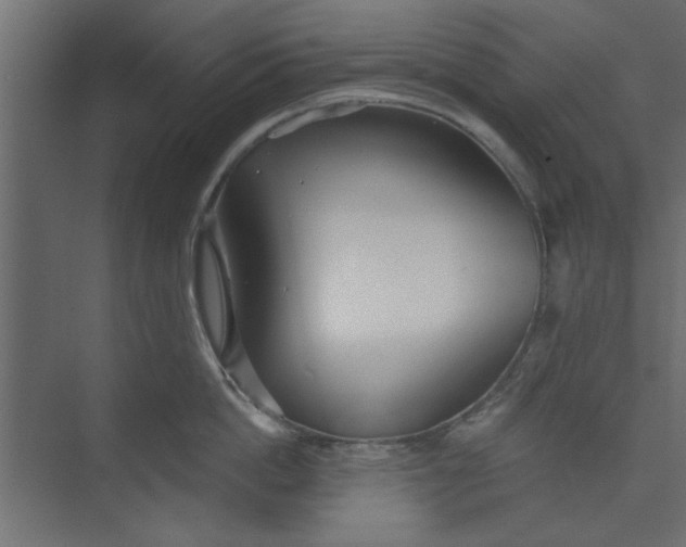 X0000073460862200608181303