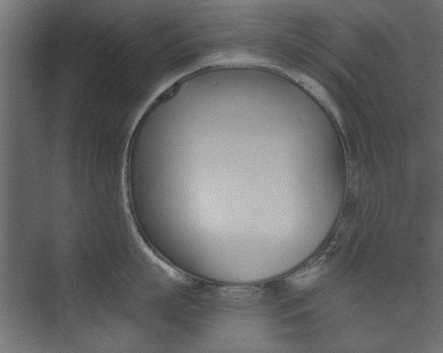 X0000073460863200608181303