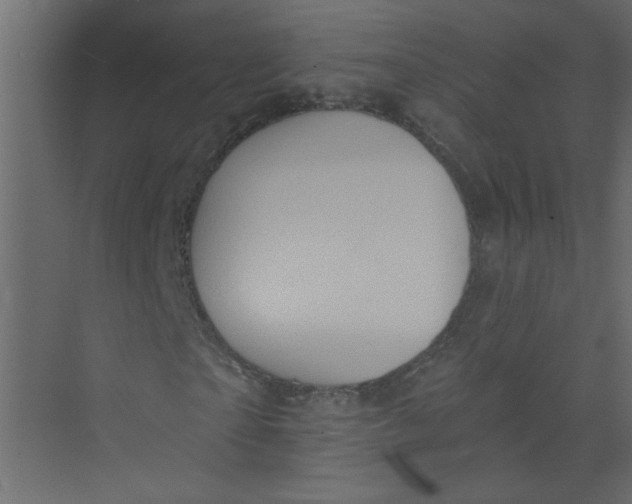 X0000073460865200608181303