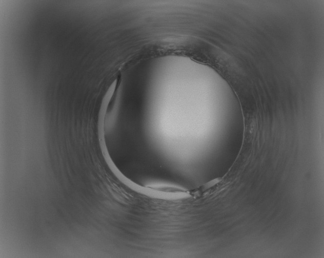 X0000073460868200608181302