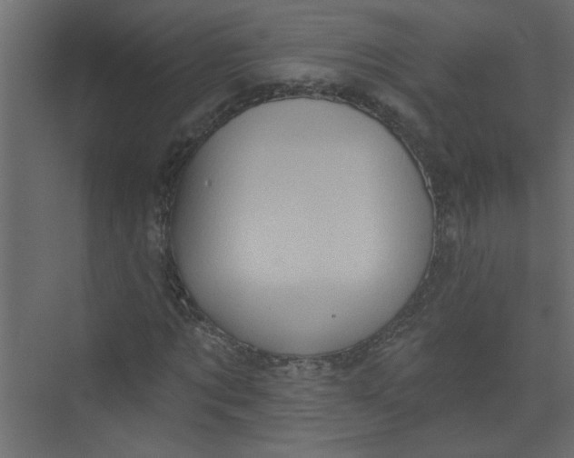 X0000073460869200608181302