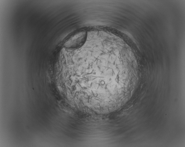 X0000073460871200608181302