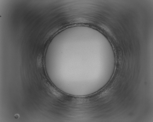 X0000073460873200608181302