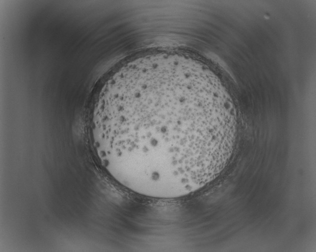 X0000073460874200608181302